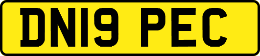 DN19PEC