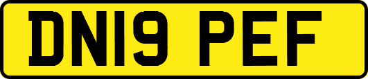DN19PEF