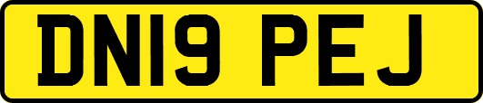 DN19PEJ