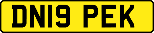 DN19PEK