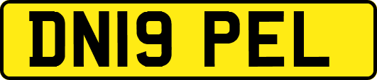 DN19PEL