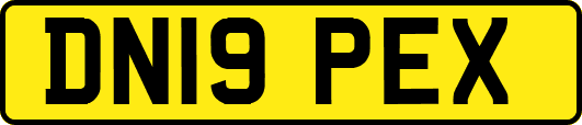 DN19PEX