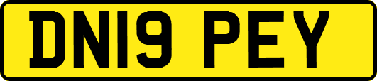 DN19PEY