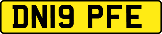 DN19PFE