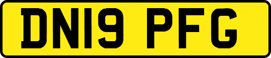 DN19PFG