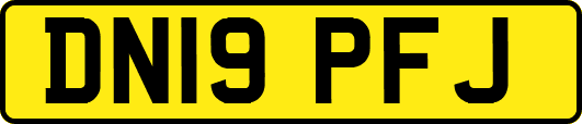DN19PFJ
