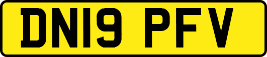 DN19PFV