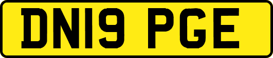 DN19PGE