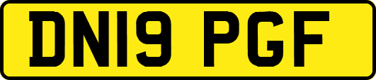 DN19PGF