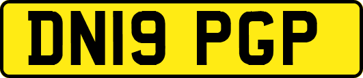 DN19PGP