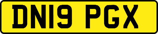 DN19PGX