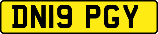 DN19PGY
