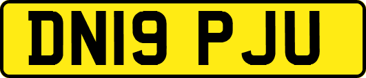 DN19PJU