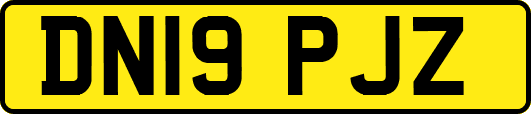 DN19PJZ