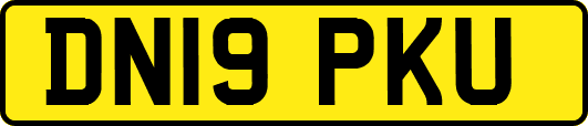 DN19PKU