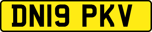 DN19PKV