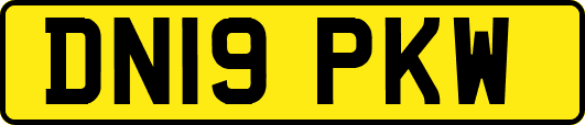 DN19PKW