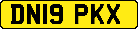 DN19PKX