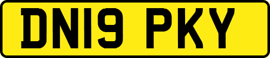 DN19PKY