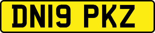 DN19PKZ