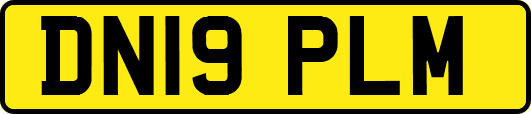 DN19PLM