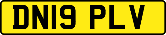 DN19PLV