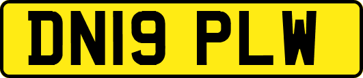 DN19PLW