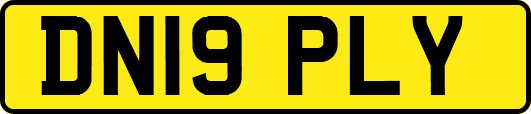 DN19PLY