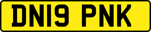 DN19PNK