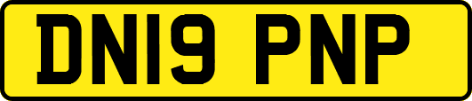 DN19PNP