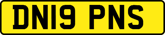 DN19PNS