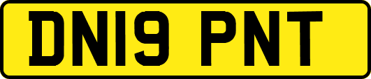 DN19PNT