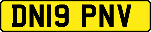 DN19PNV