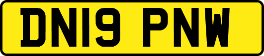 DN19PNW