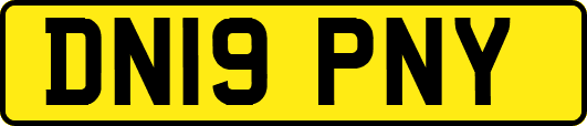 DN19PNY