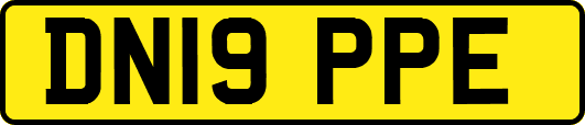DN19PPE
