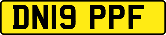 DN19PPF
