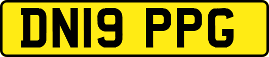 DN19PPG