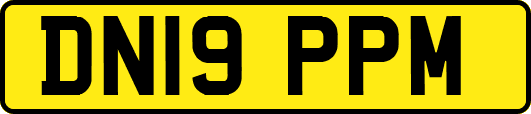 DN19PPM