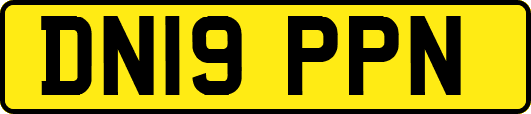DN19PPN