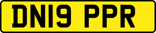 DN19PPR