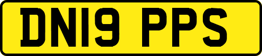 DN19PPS