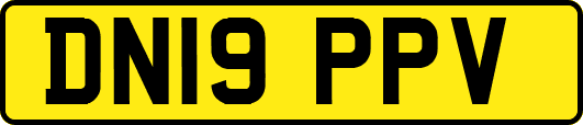 DN19PPV