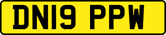 DN19PPW