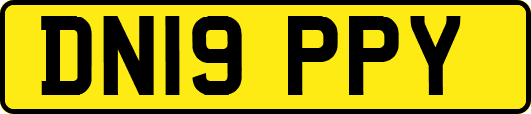 DN19PPY