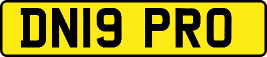 DN19PRO