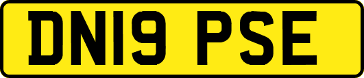 DN19PSE