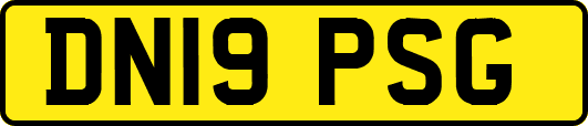 DN19PSG