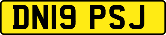 DN19PSJ