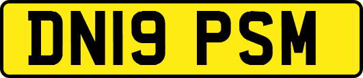 DN19PSM